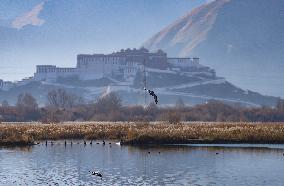 Lhalu Wetland Receives WRCA Certification - China
