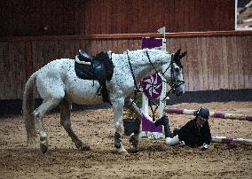 Major Show Jumping Championship - Erbil