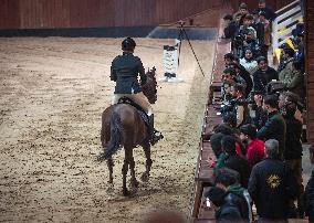 Major Show Jumping Championship - Erbil