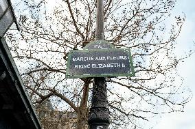 Christmas Trees For Sale At Flower Market - Paris