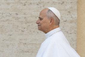Pope Leo XIV during the last Jubilee audience in St. Peter's Square - Vatican