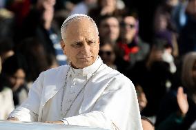 Pope Leo XIV during the last Jubilee audience in St. Peter's Square - Vatican