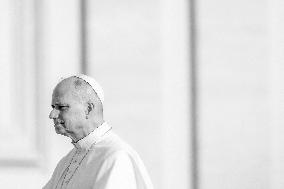 Pope Leo XIV during the last Jubilee audience in St. Peter's Square - Vatican