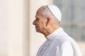 Pope Leo XIV during the last Jubilee audience in St. Peter's Square - Vatican