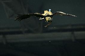 CALCIO - Serie A - SS Lazio vs US Cremonese