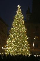 Christmas Installations and Art Experiences In Bologna - Italy