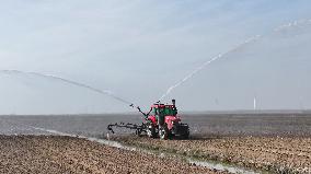 Farmers Irrigating Wheat in Fields