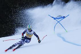 SPORT INVERNALI - Sci Alpino - 2026 Audi FIS Ski World Cup - Men's Giant Slalom