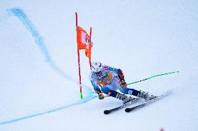 SPORT INVERNALI - Sci Alpino - 2026 Audi FIS Ski World Cup - Men's Giant Slalom
