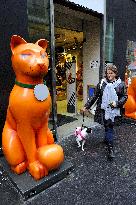 Illustration - BHV Paris - France