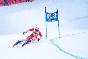 SPORT INVERNALI - Sci Alpino - 2026 Audi FIS Ski World Cup - Men's Giant Slalom