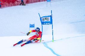 SPORT INVERNALI - Sci Alpino - 2026 Audi FIS Ski World Cup - Men's Giant Slalom