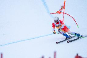 2026 Audi FIS Ski World Cup - Men's Giant Slalom