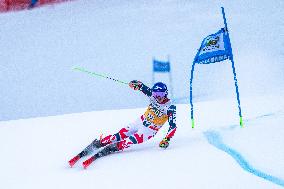 SPORT INVERNALI - Sci Alpino - 2026 Audi FIS Ski World Cup - Men's Giant Slalom