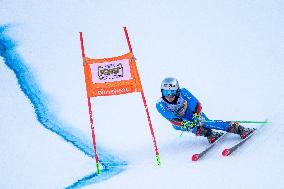 2026 Audi FIS Ski World Cup - Men's Giant Slalom