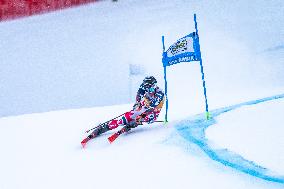 2026 Audi FIS Ski World Cup - Men's Giant Slalom