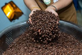 Coffee Harvest Production in Champasak - Laos