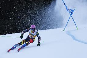 SPORT INVERNALI - Sci Alpino - 2026 Audi FIS Ski World Cup - Men's Giant Slalom