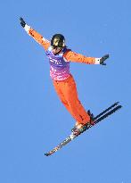 FIS World Cup - Aerials Mixed Team