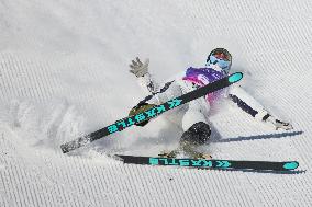 FIS World Cup - Aerials Mixed Team