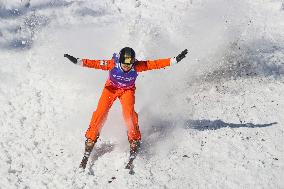 FIS World Cup - Aerials Mixed Team