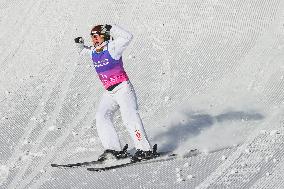 FIS World Cup - Aerials Mixed Team