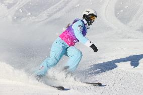 FIS World Cup - Aerials Mixed Team