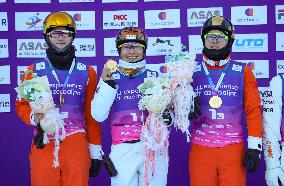 FIS World Cup - Aerials Mixed Team