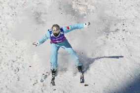 FIS World Cup - Aerials Mixed Team