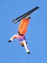 FIS World Cup - Aerials Mixed Team