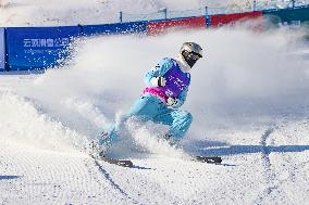FIS World Cup - Aerials Mixed Team
