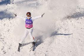 FIS World Cup - Aerials Mixed Team