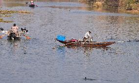 Cormorant Fishing