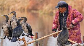 Cormorant Fishing
