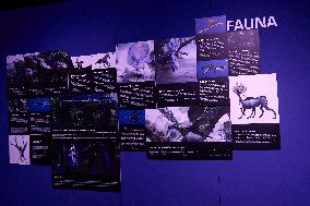 Avatar The Experience - Madrid