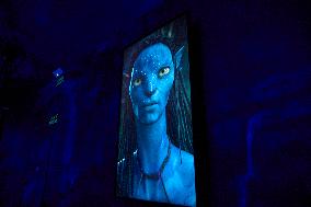 Avatar The Experience - Madrid
