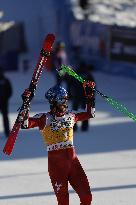 2026 Audi FIS Ski World Cup - Men's Giant Slalom