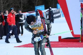 2026 Audi FIS Ski World Cup - Men's Giant Slalom