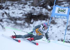 SPORT INVERNALI - Sci Alpino - 2026 Audi FIS Ski World Cup - Men's Giant Slalom