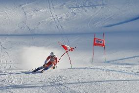 SPORT INVERNALI - Sci Alpino - 2026 Audi FIS Ski World Cup - Men's Giant Slalom