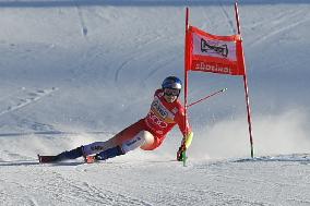 SPORT INVERNALI - Sci Alpino - 2026 Audi FIS Ski World Cup - Men's Giant Slalom