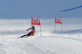 SPORT INVERNALI - Sci Alpino - 2026 Audi FIS Ski World Cup - Men's Giant Slalom