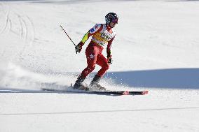 2026 Audi FIS Ski World Cup - Men's Giant Slalom