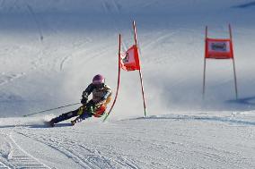 SPORT INVERNALI - Sci Alpino - 2026 Audi FIS Ski World Cup - Men's Giant Slalom