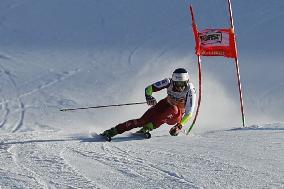 SPORT INVERNALI - Sci Alpino - 2026 Audi FIS Ski World Cup - Men's Giant Slalom