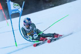 SPORT INVERNALI - Sci Alpino - 2026 Audi FIS Ski World Cup - Men's Giant Slalom