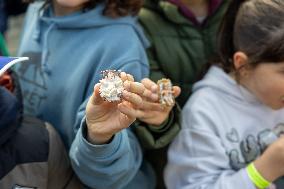 Baby Jesus Figurines During The Angelus Prayer - Vatican