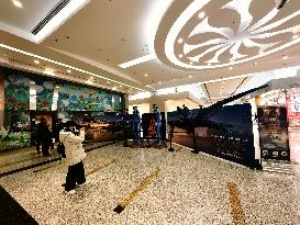 Movie Avatar: Fire and Ash