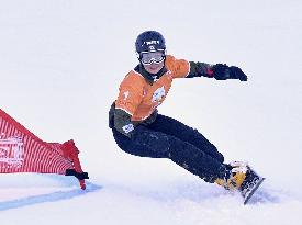 Snowboard: World Cup