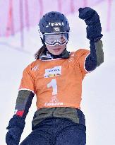 Snowboard: World Cup